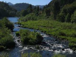 Lookingglass Creek